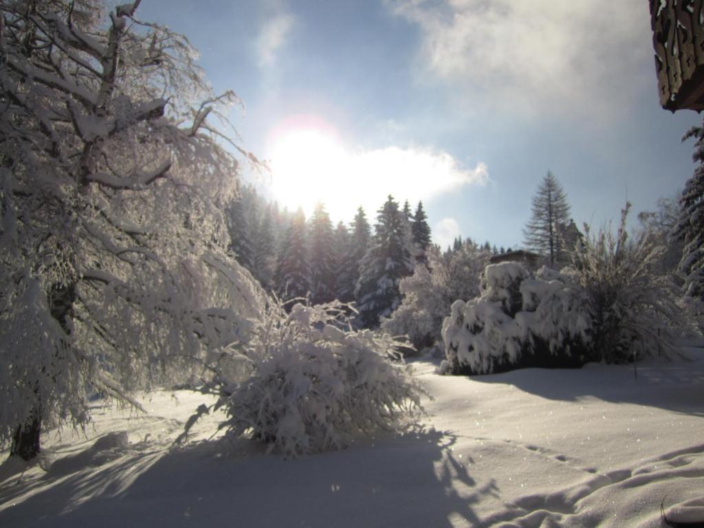 Beausoleil Bed and Breakfast Chamonix Buitenkant foto